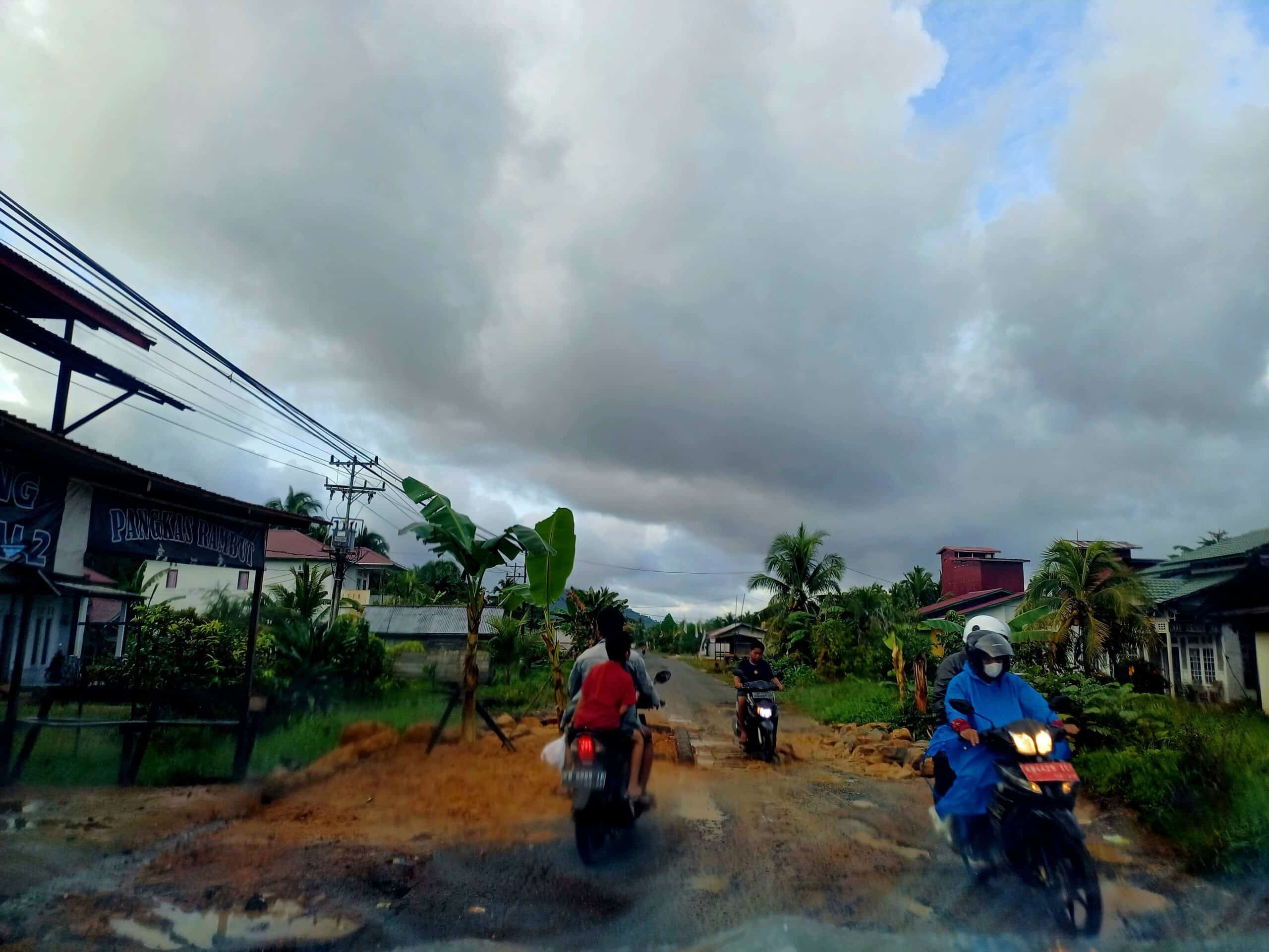 Tanaman pohon pisang di jalan poros Desa Rantau Panjang, Kecamatan Simpang Hilir. Foto diambil pada Senin (22/01/2024). (Foto: Santo)