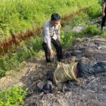 Penemuan mayat pria di Dusun Pelerang, Desa Benawai Agung, Kecamatan Sukadana, Kabupaten Kayong Utara, Selasa (23/01/2024). (Foto: Istimewa)