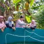 Dukung Penurunan Angka Stunting di Kalsel, Srikandi PLN Bantu Skema Keberlanjutan Cegah Stunting Melalui Kolam Bioflok Ikan Lele 18