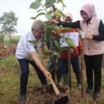 Peringati Hari Lahan Basah Sedunia, Harisson-Windy Tanam Pohon di Hutan Sekolah Negeri Pontianak 7