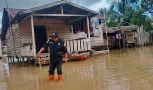 Pemkab Kayong Utara Lakukan Ground Check Banjir di Dusun Jelutong Simpang Hilir 1